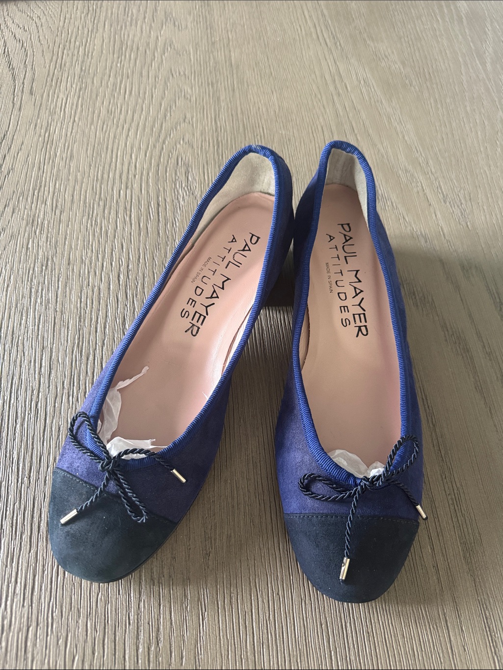 Paul Mayer Navy Two-Tone Suede Ballet Block Heels